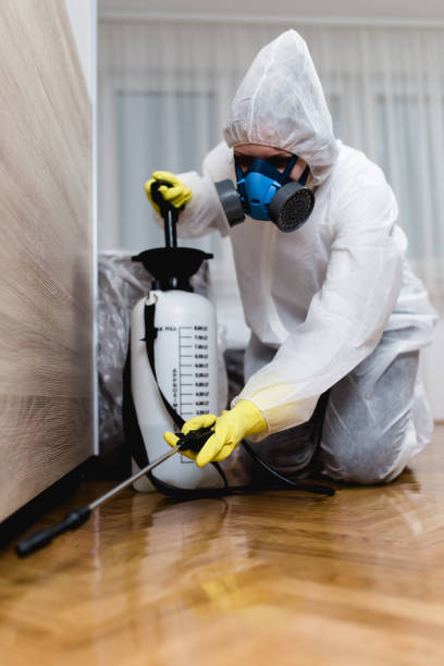 Best Pest Control for Hotels  in Lyndhurst, OH